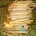 bambu undangan gulung jual