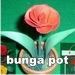 souvenir bunga pot Souvenir pernikahan